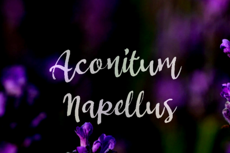 Aconitum Napellus