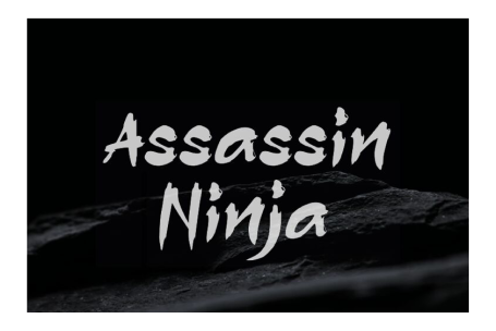 Assassin Ninja