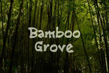 Bamboo Grove