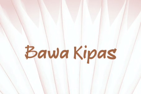 Bawa Kipas