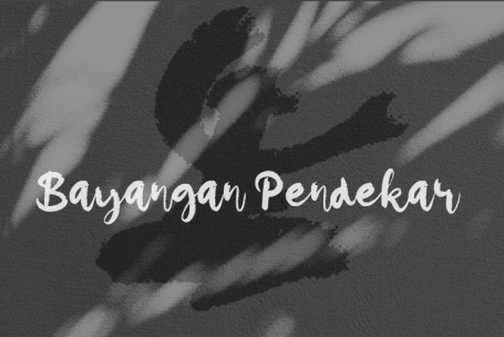 Bayangan Pendekar