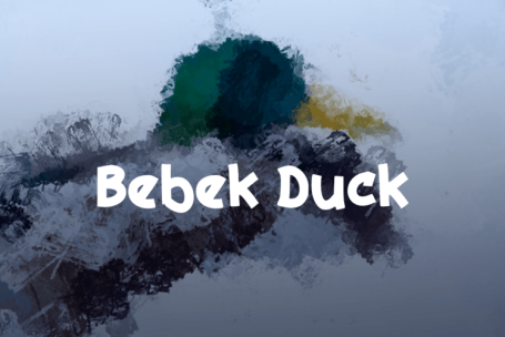 Bebek Duck