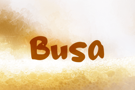 Busa