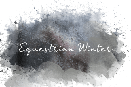 Equestrian Winter