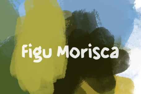 Figu Morisca