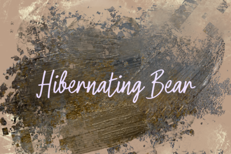 Hibernating Bear