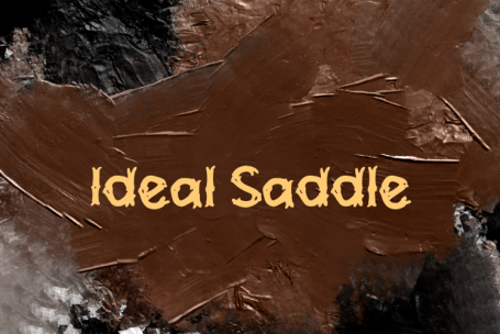 Ideal Saddle