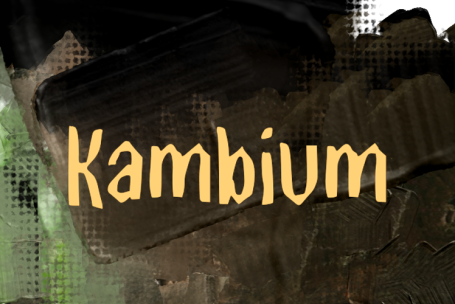 Kambium