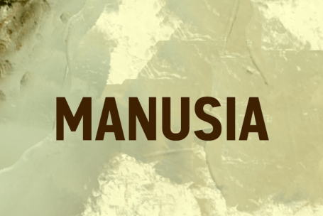 Manusia