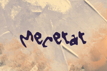 Mecetat