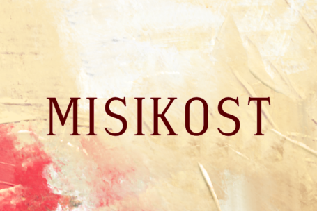 Misikost