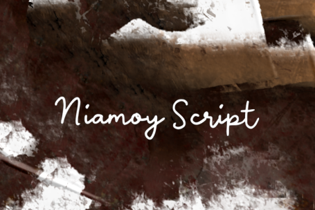 Niamoy Script