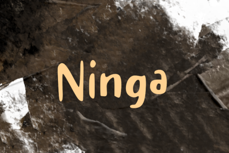 Ninga