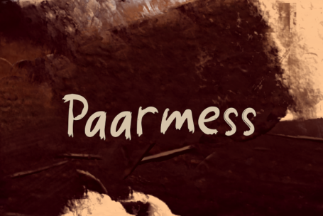 Paarmess