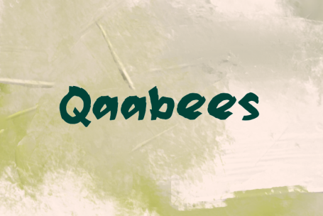 Qaabees