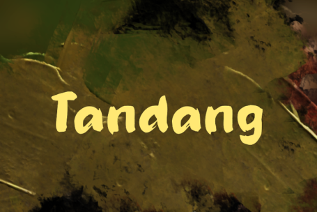 Tandang