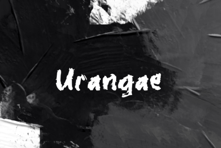 Urangae