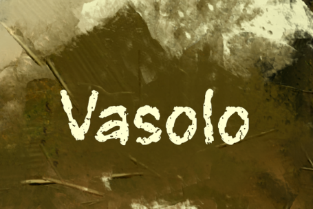 Vasolo