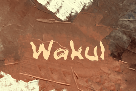 Wakul