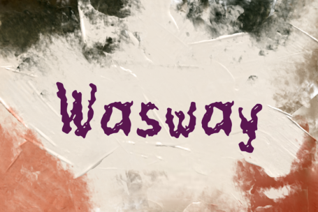Wasway